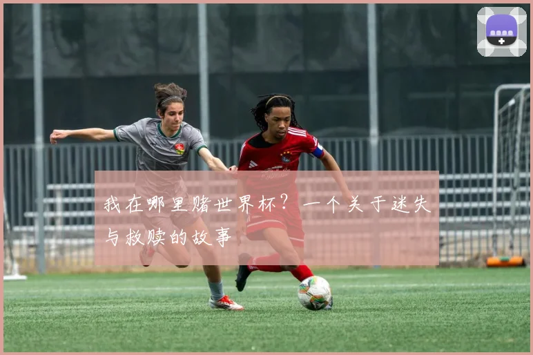我在哪里赌世界杯？一个关于迷失与救赎的故事