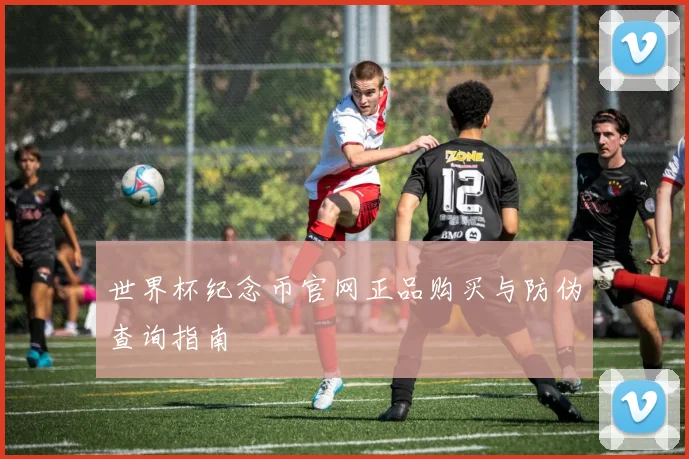 世界杯纪念币官网正品购买与防伪查询指南