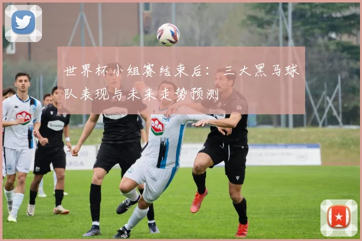 世界杯小组赛结束后：三大黑马球队表现与未来走势预测